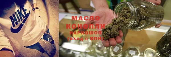 сатива Гусев