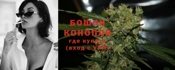 сатива Гусев