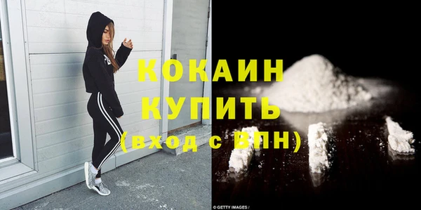 гидра Гусь-Хрустальный