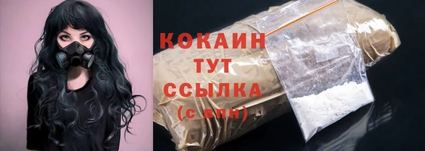гидра Гусь-Хрустальный