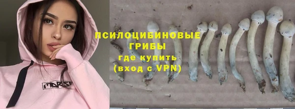 винт Гусиноозёрск