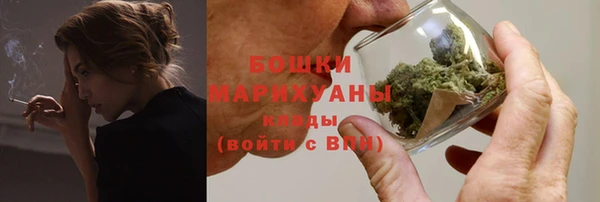 гидра Гусь-Хрустальный