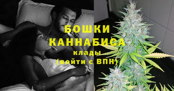 винт Гусиноозёрск