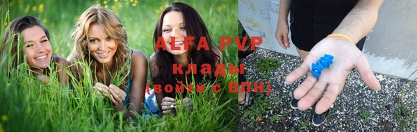 сатива Гусев