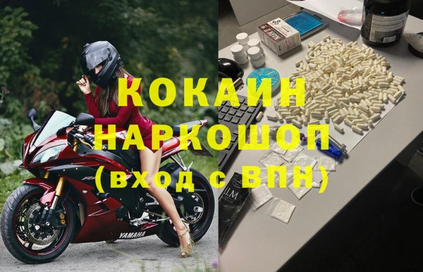 гидра Гусь-Хрустальный